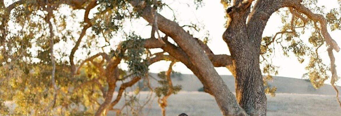 Danielle Bacon Photography