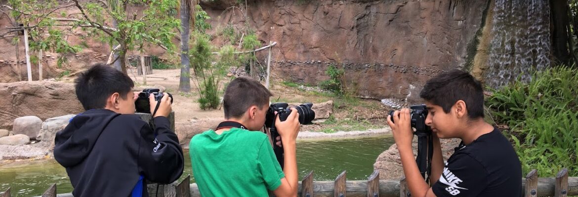 California Center for Digital Arts