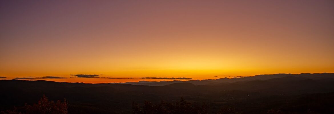 Pilar Delgado Photography