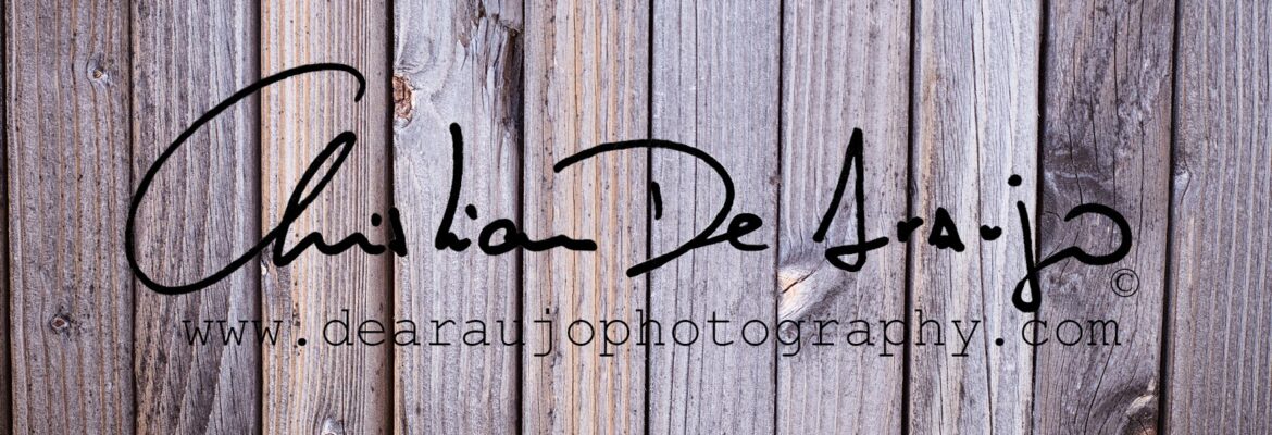 De Araujo Photography