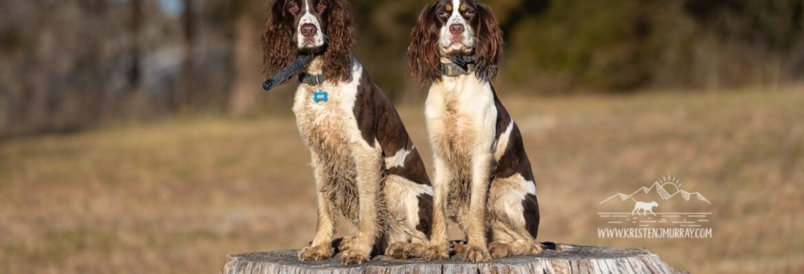 Kristen Murray Photography