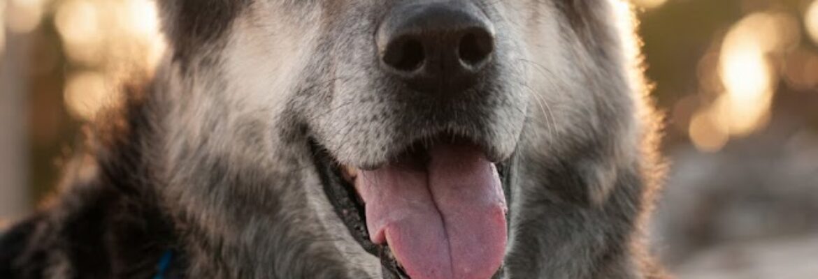 Outings Worth a Memory