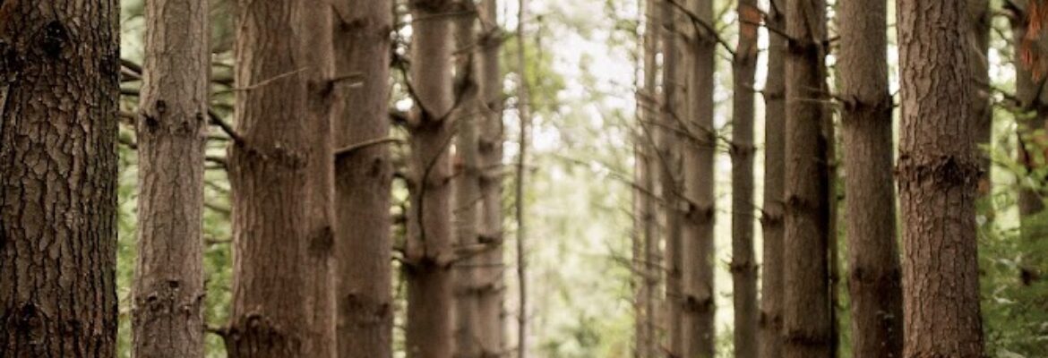 Jamie Stockum Photography