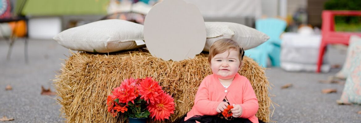 Smiling Fox Photography