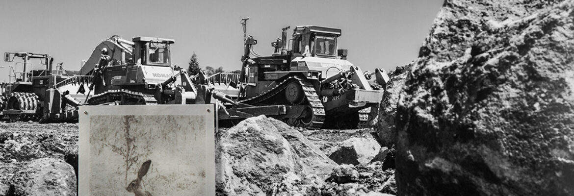 Debra Small Photography