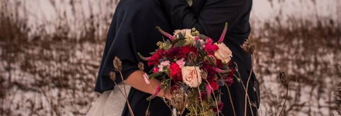 Molly Dolores Photography