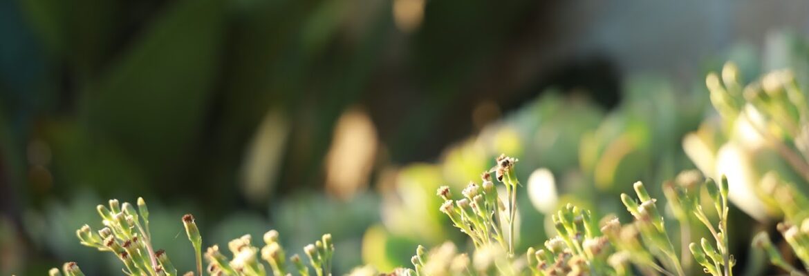 Dante Joseph Gonzalez Photography