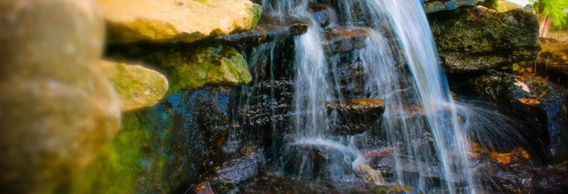 Photography By Theresa Fain