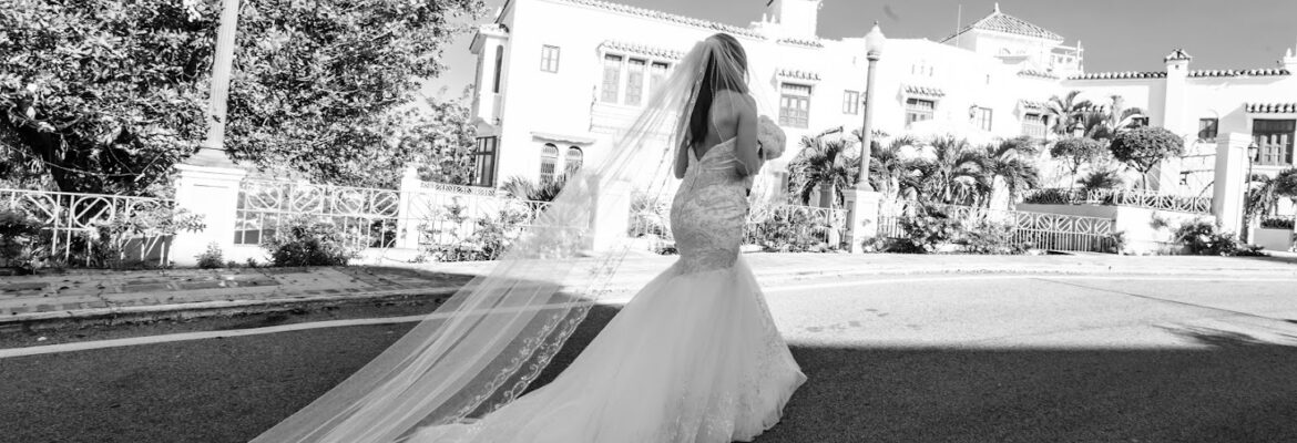 Moving Still Pictures Wedding & Event Photography