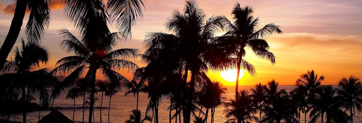 SCAMPER Artistry Photography