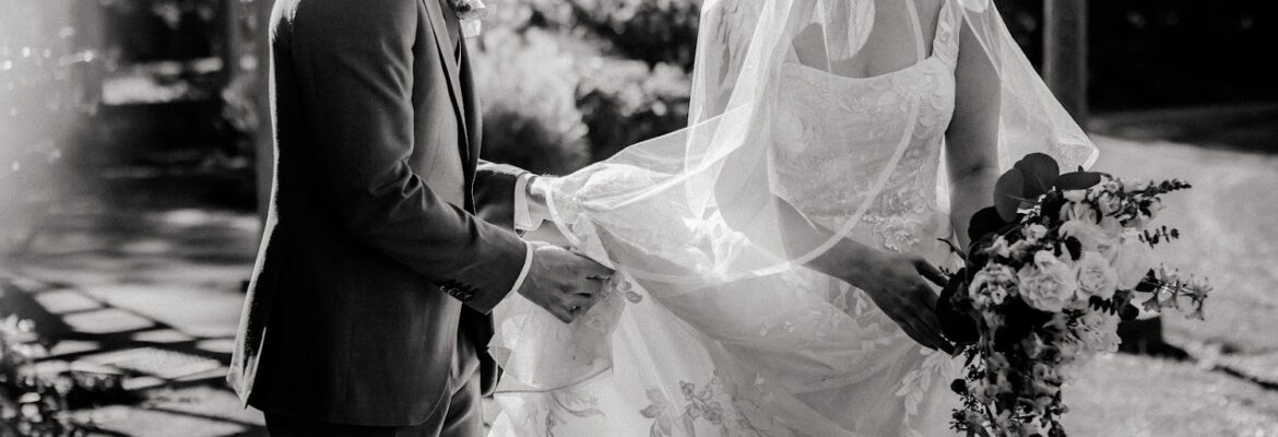 Wild Collective by Alaxandra