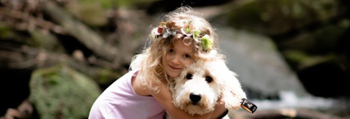 Sweet juniper photography