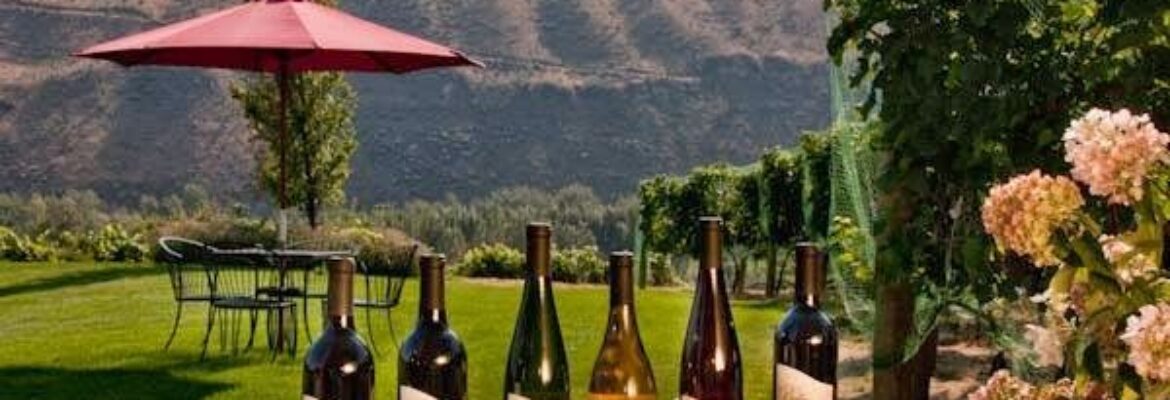 Icicle Valley Photography