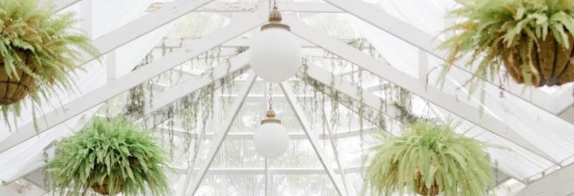 Brooke Pavel Photography