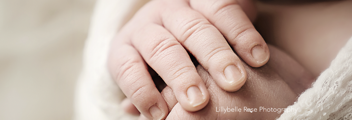 Lillybelle Rose Photography