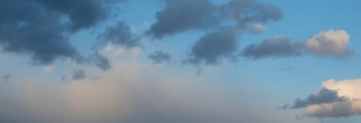 Haley Friesen Photography