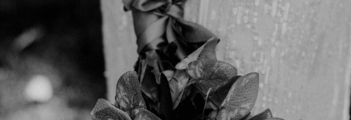 Sharp Impressions Photo