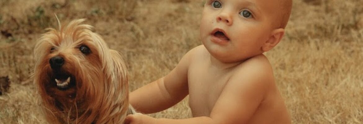 ZoeyLynn Photography