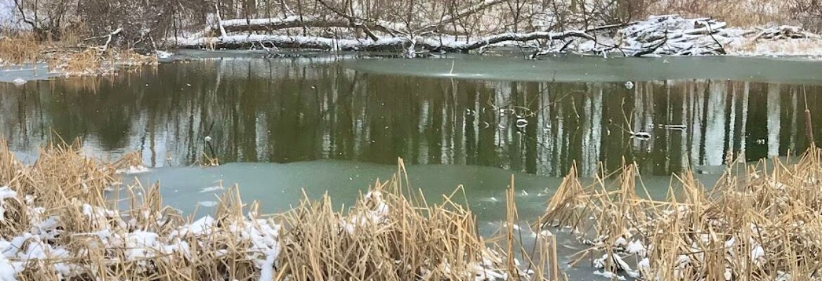 Kiim’s Photography