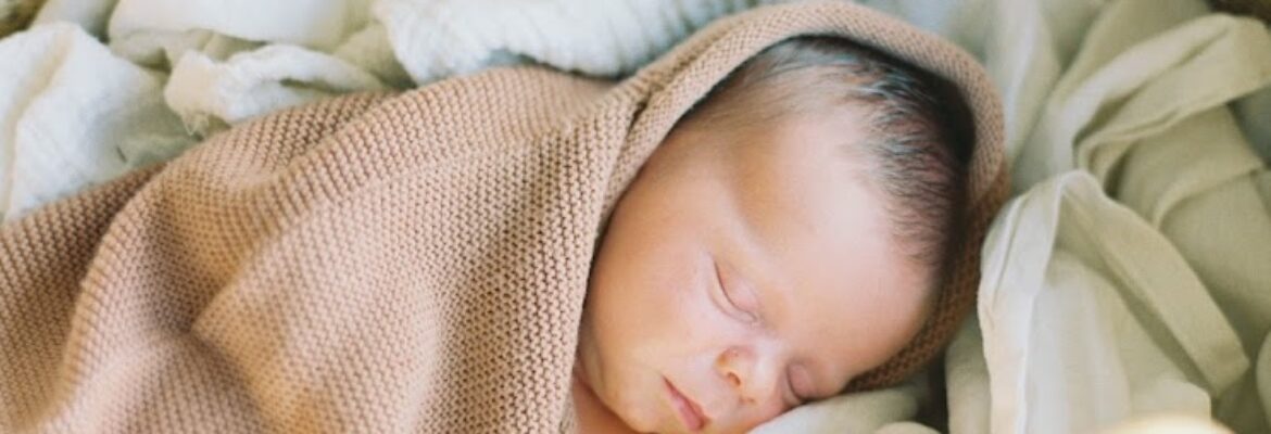 Brenda Holloway Photography