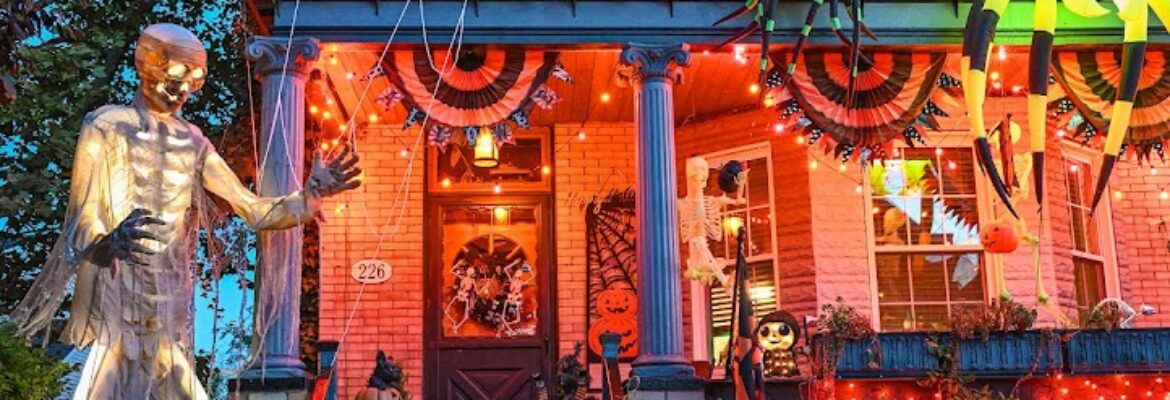 Stephanie Petersen Photography