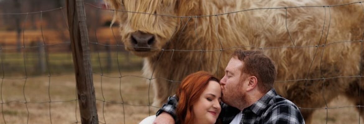 Marissa Harrison Photography LLC