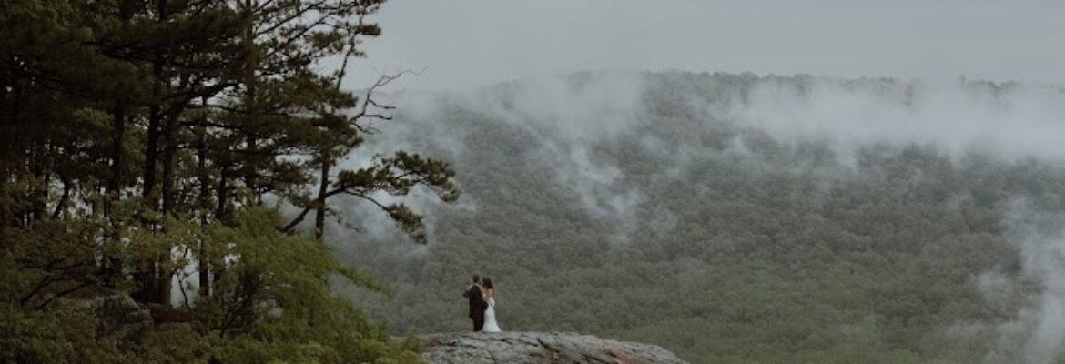 Allison Mayfield Photography