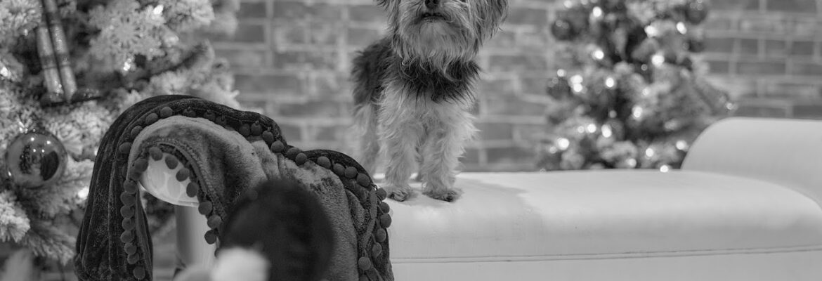 Henri Cooper Photography