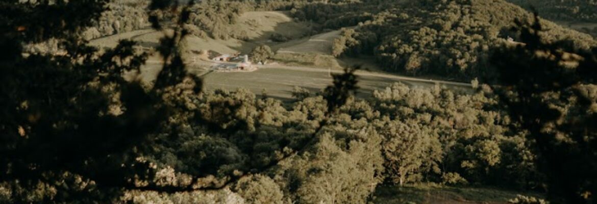 Noah Sharon Photography