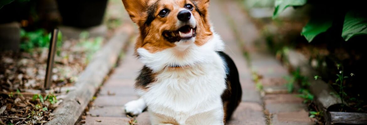 Maria Claire Photography