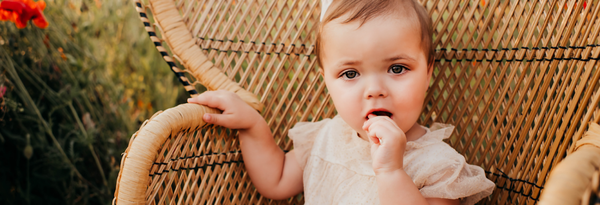 Sarah Hill Photography LLC