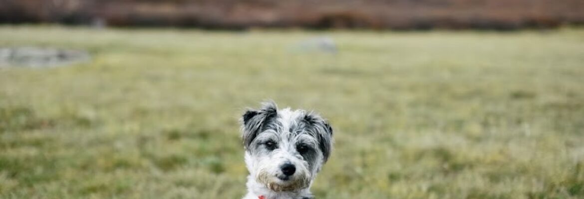 Maddie Maney Photography