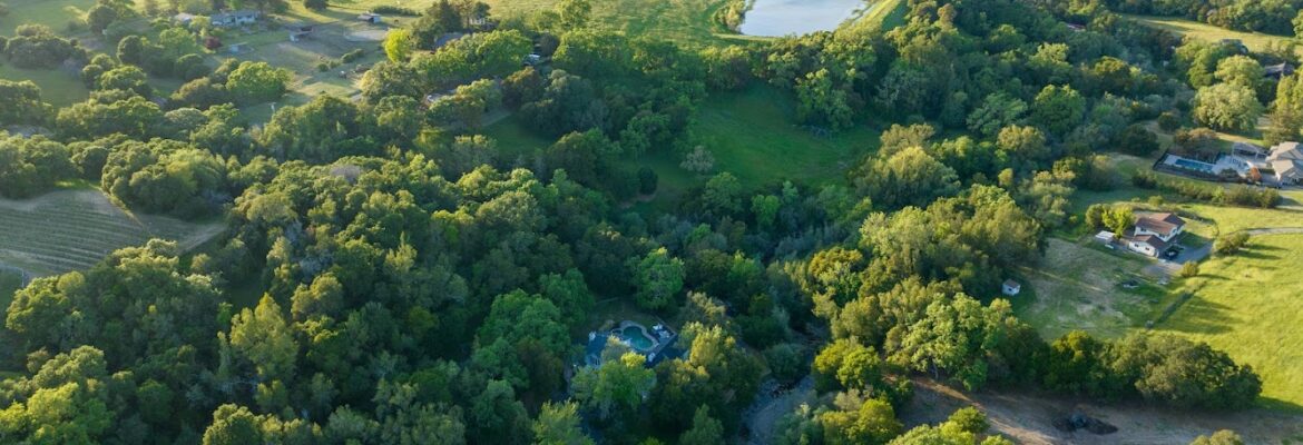 Timothy Winslow Photography & Videography