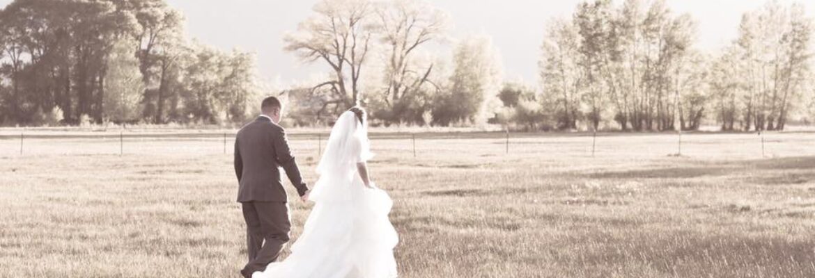 Same Day Photography