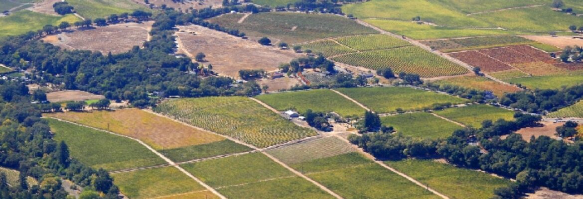 Rick Tang Photography