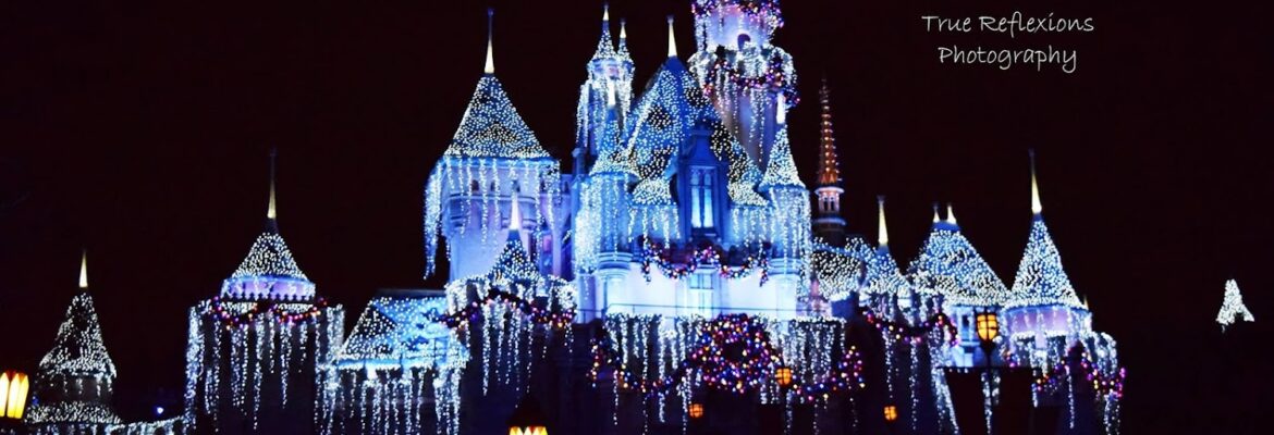 True Reflexions Photography