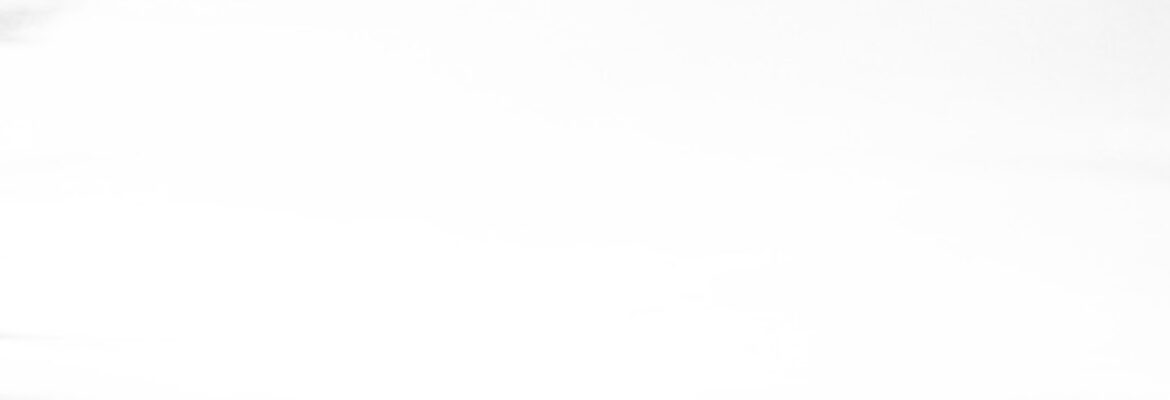 SKYFLEX DRONE SERVICES