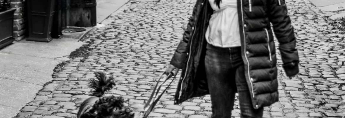 Jennifer Meyers Photography