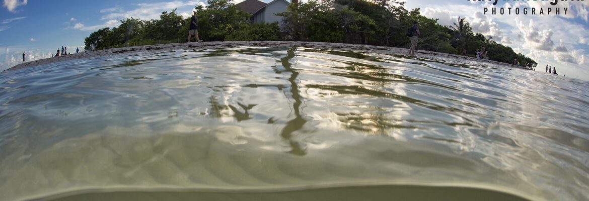 Katy Danca Galli Photography