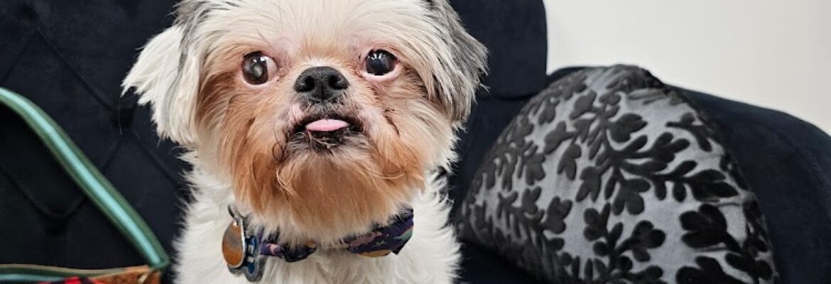 Chandra Holland Fine Art Portraits