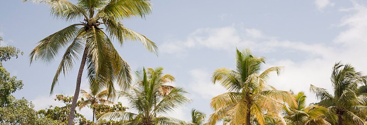 Jenny Schartner- Photographer for Hospitality and Travel Brands