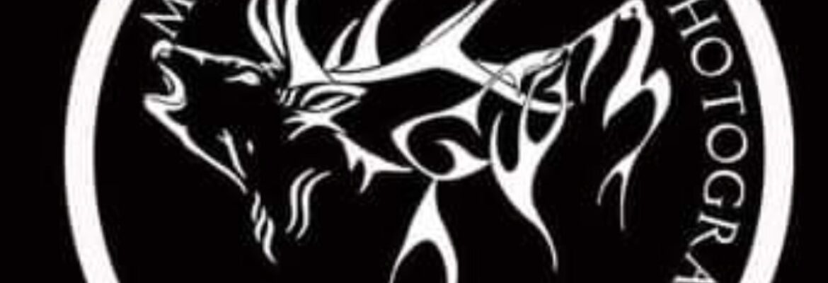 MESA SKY WILDLIFE PHOTOGRAPHY