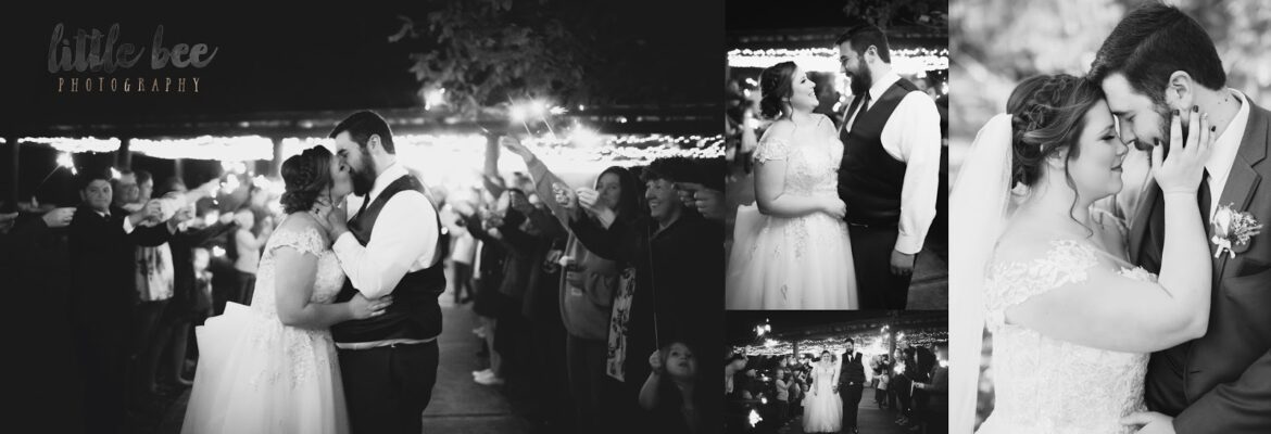 Little Bee Photography