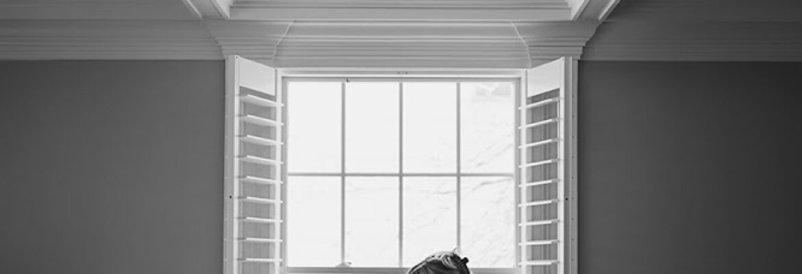 Anastasia Aranovich Photography