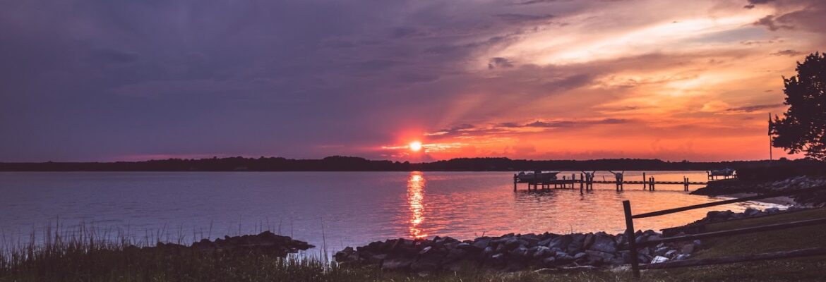 Blue Luna Photography