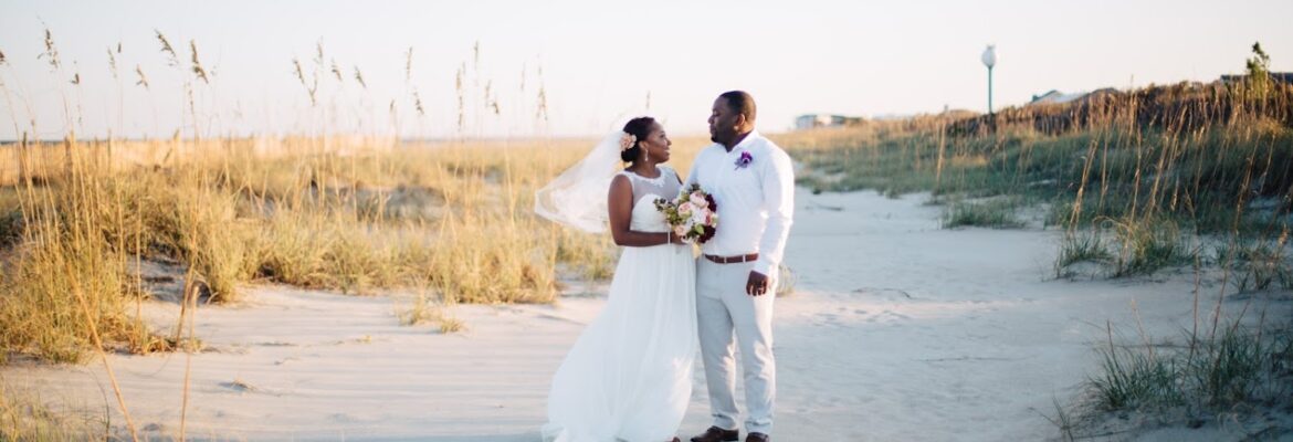 Fiddlehead Photography