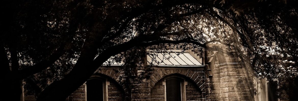 Traci Arney Photography