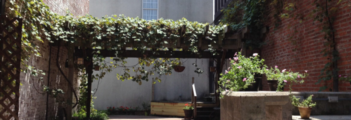 Calotype Photography