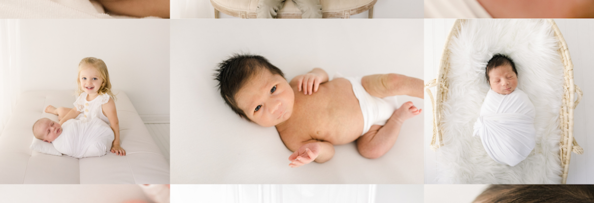 Abigail Jordan Photography