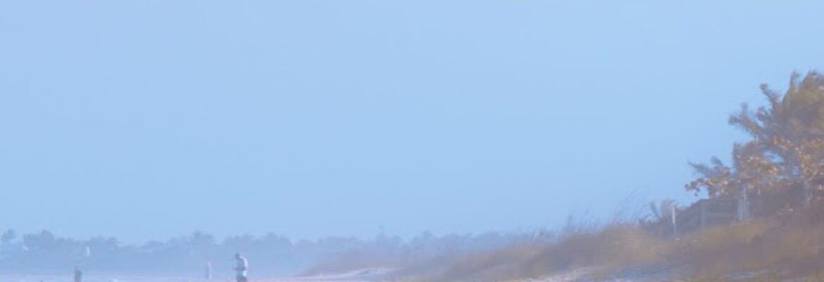 Ellis de Vosjoli Photography